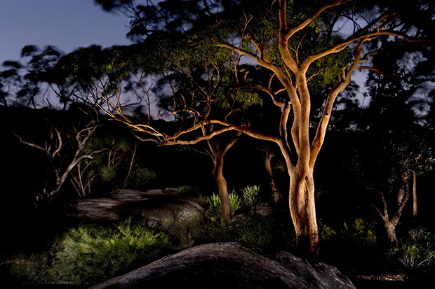 Photo by Peter Solness, finalist, 2013 Head On Landscape Prize.