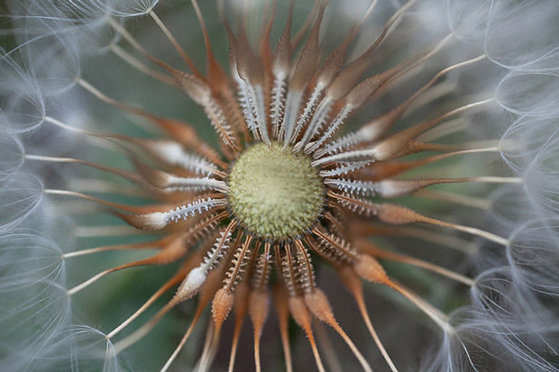 who won the november texture photo comp australian photography texture photography