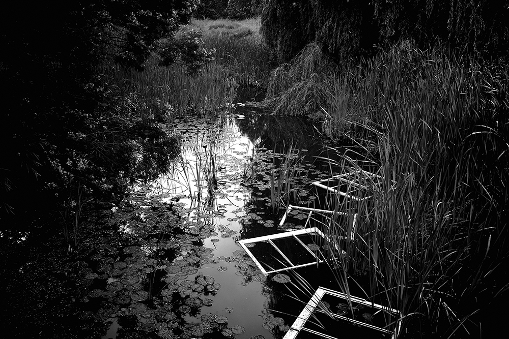 'A Creek in Frame,' by Kristy Williams.