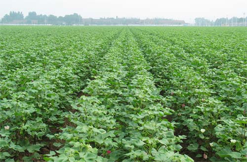 20131226094847304811