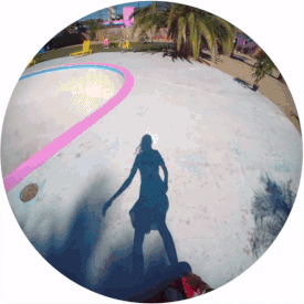 gif3.gif