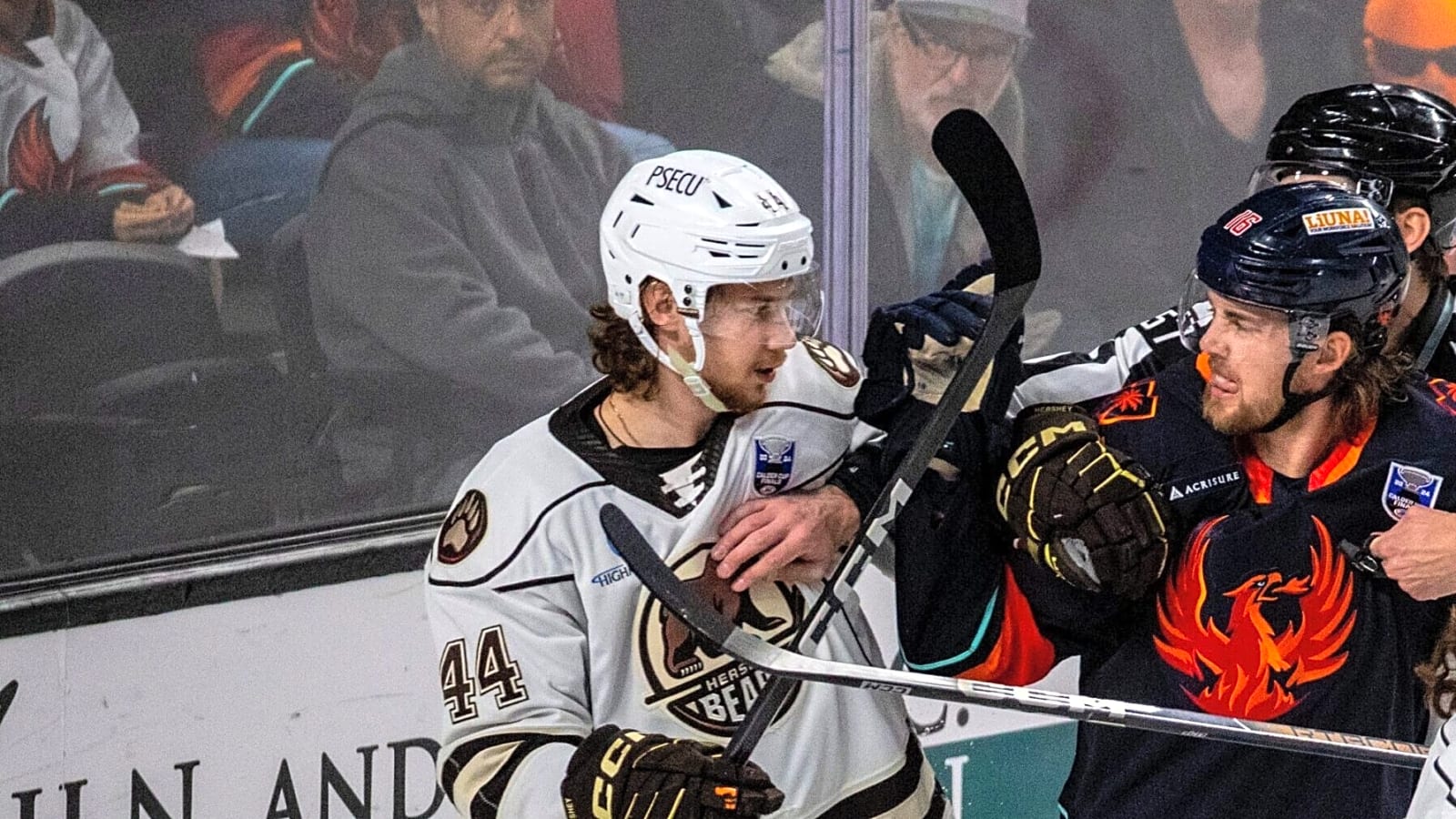 Capitals re-sign Trineyev to one-year, two-way contract