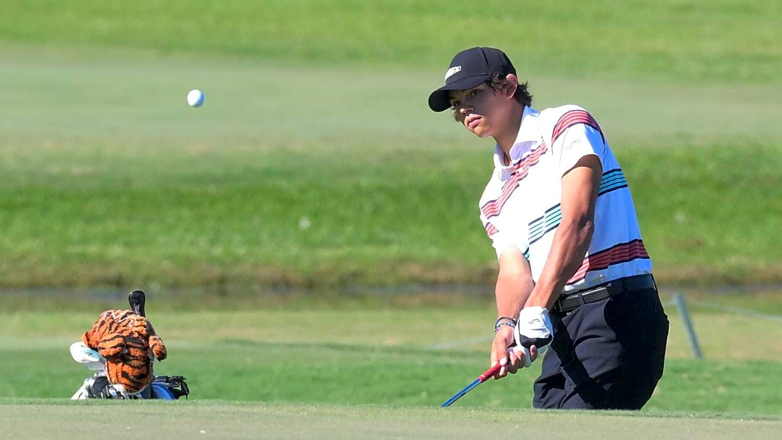 Charlie Woods wins playoff to qualify for U.S. Junior Amateur