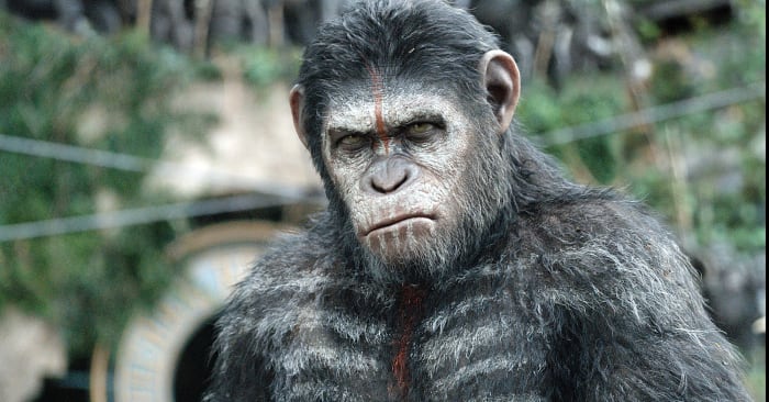 'Dawn of the Planet of the Apes'