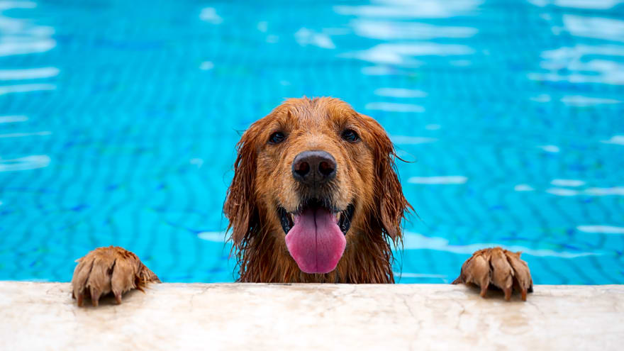 20 of the best low or no-cost summer activities