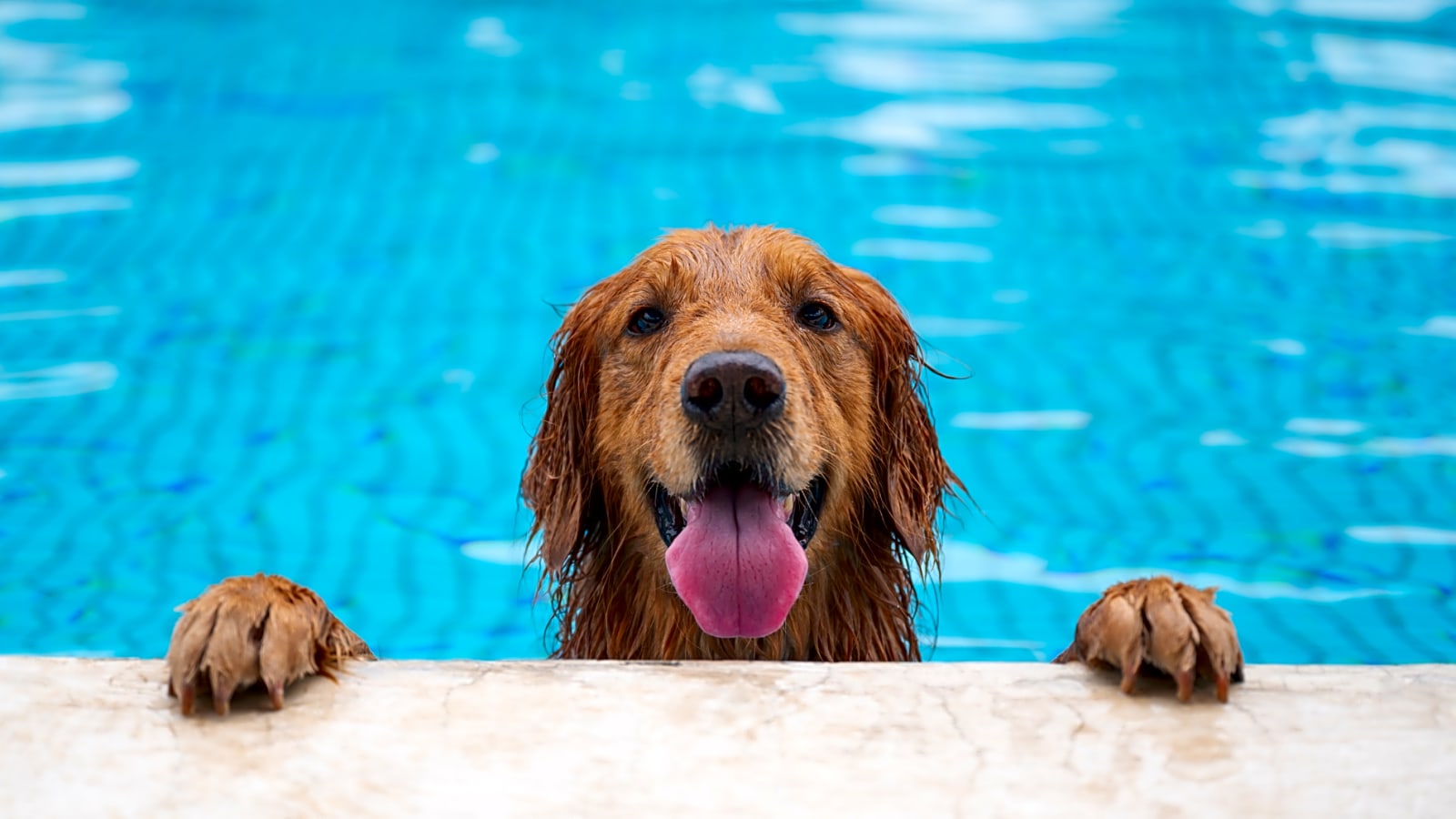 20 of the best low or no-cost summer activities