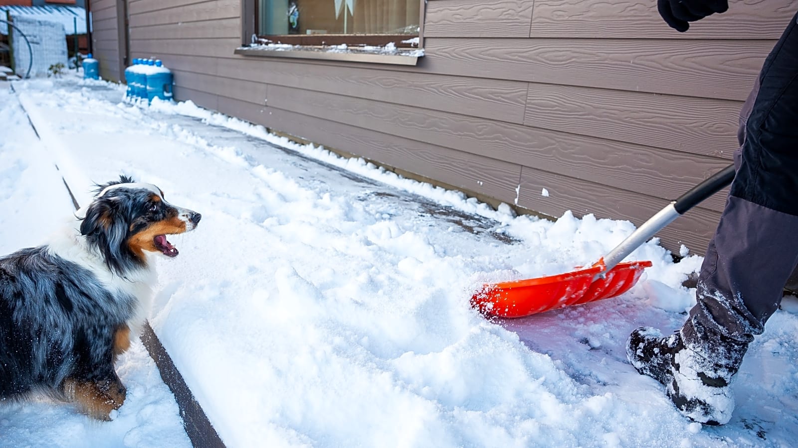 20 tips to help prepare your house for winter