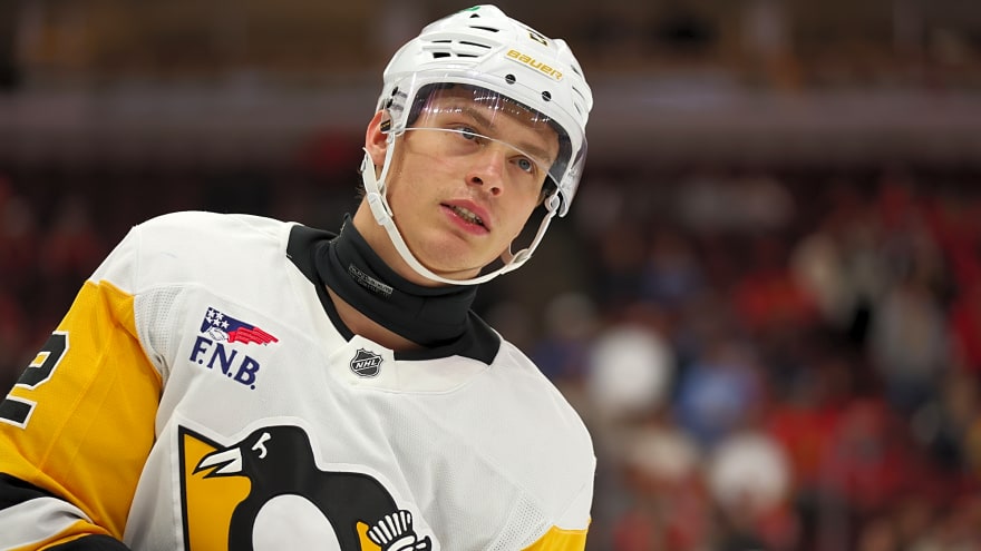 Penguins recall top prospect Rutger McGroarty