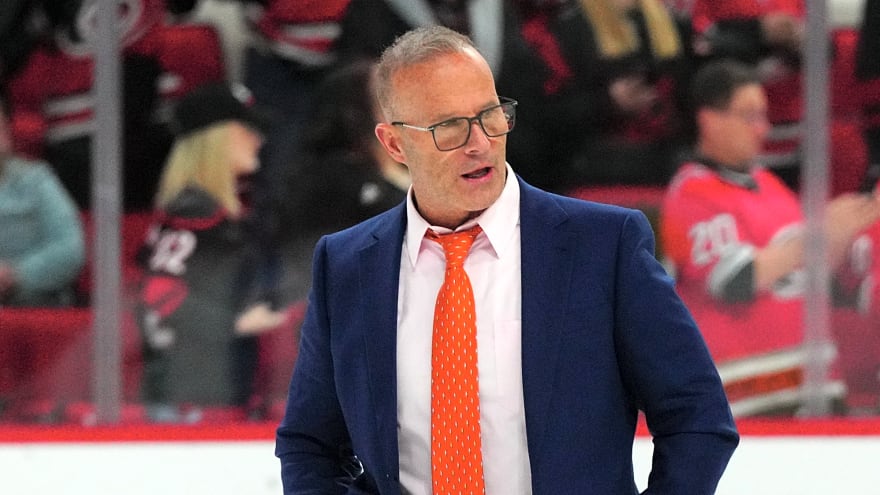 Wild hire former NHL head coach to AHL role