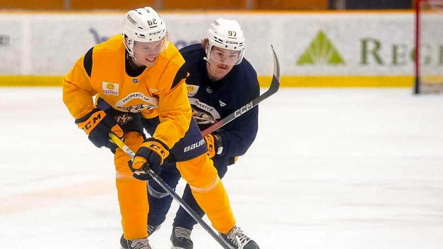 Predators Sign Felix Nilsson To Entry-Level Contract