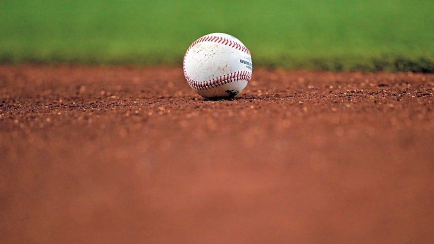 Ballboy gets ejected by umpire in minor-league game