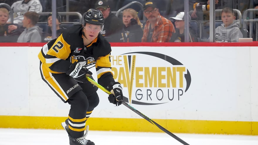 Pittsburgh Penguins Recall Rutger McGroarty