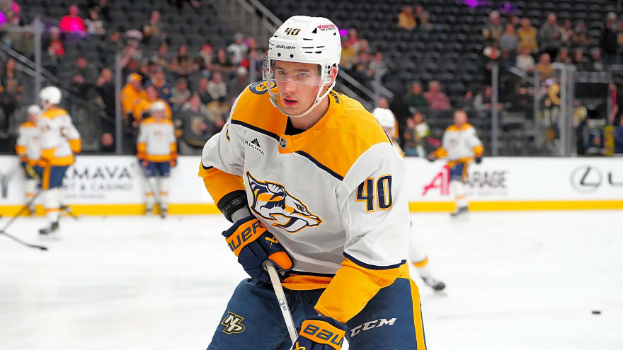 Nashville Predators Reassign Fedor Svechkov