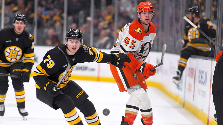 Bruins Activate, Reassign Michael Callahan, Matej Blumel