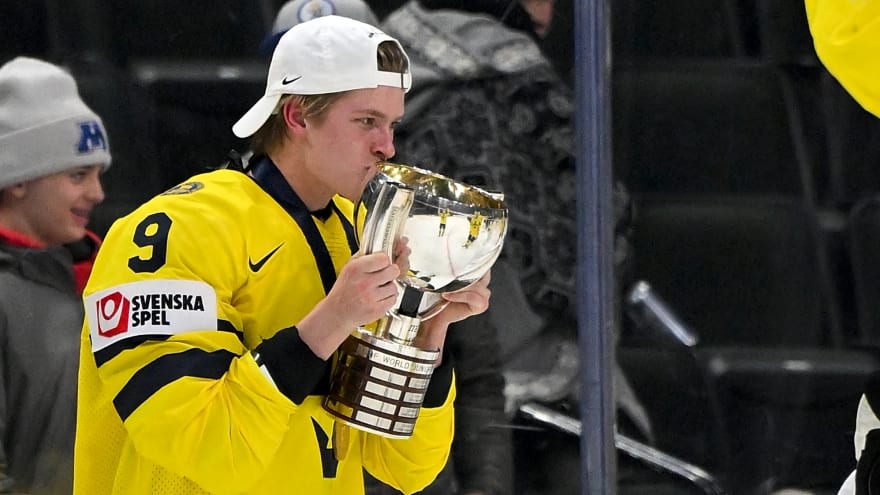 Maple Leafs prospect checkpoint: How has Victor Johansson fared through 5 months of 2025-26?