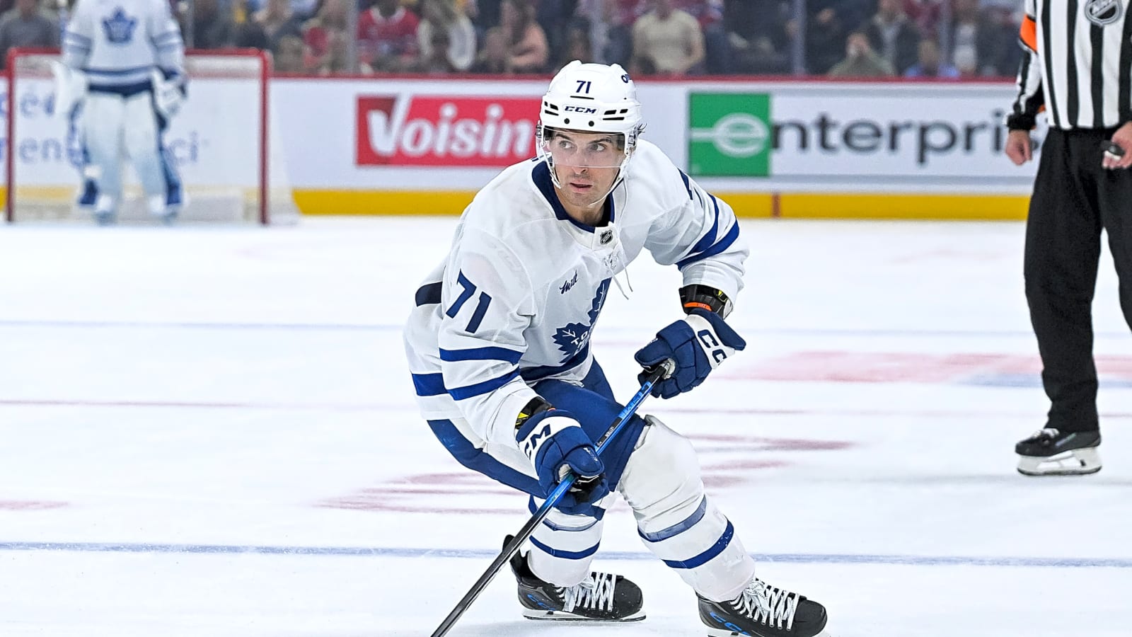 Appreciating Veteran Vinni Lettieri's Marlies Success