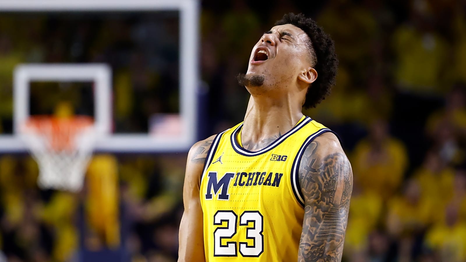 Michigan Wolverines dominate Big Ten awards