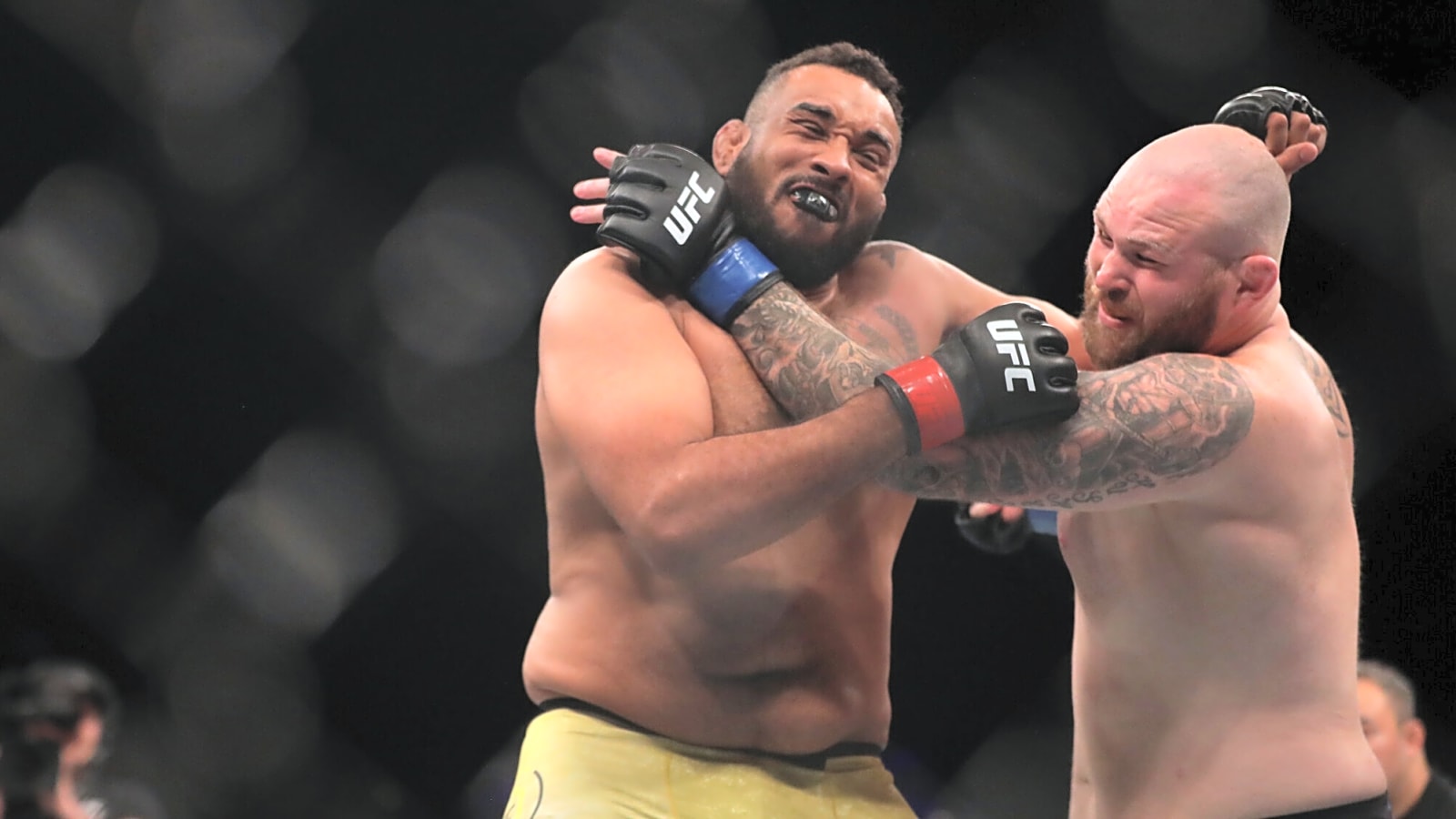 PFL Europe 1 (2025): How To Watch and Full Fight Card