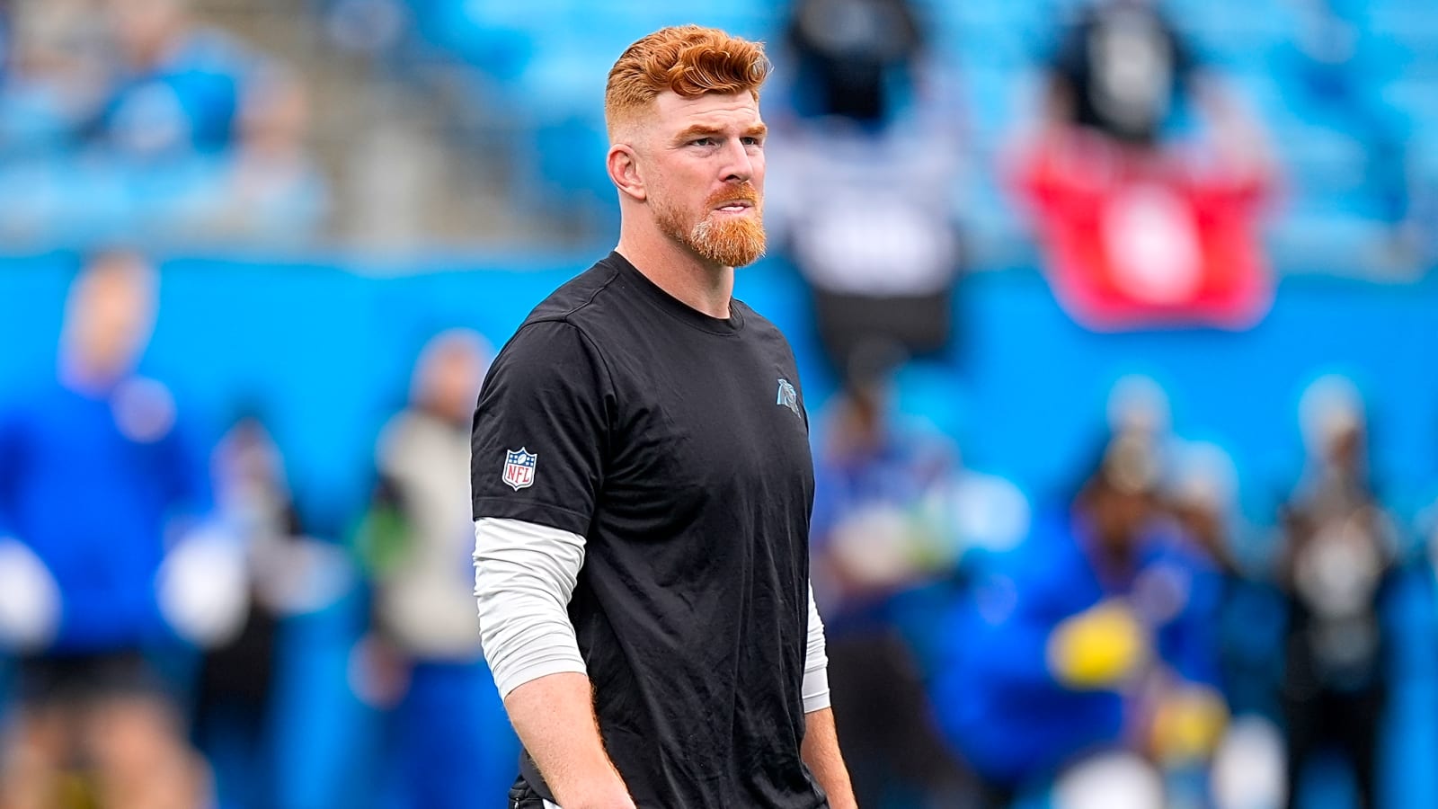 Panthers’ Andy Dalton Garnering Interest