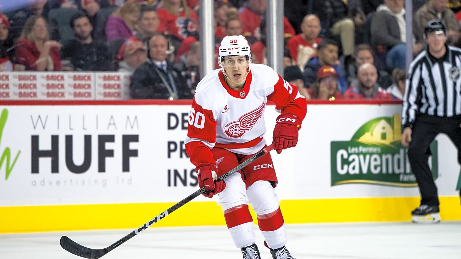 Red Wings Place Dominik Shine On Waivers