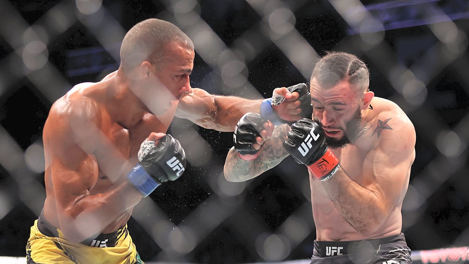Strangest Knockouts in UFC History