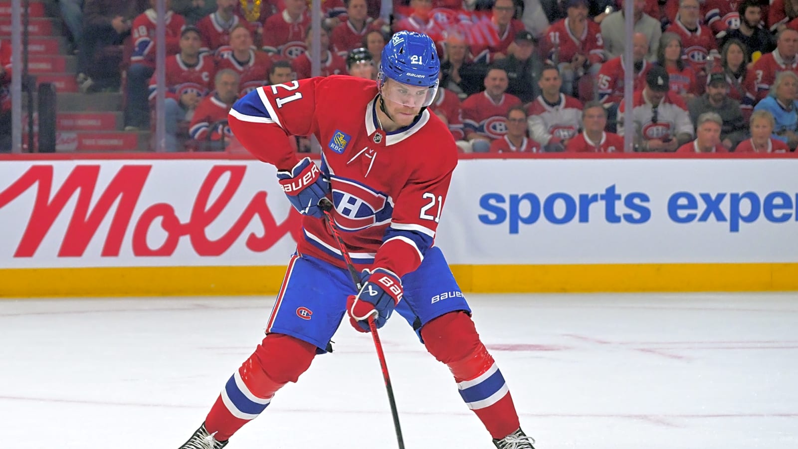 Young Canadiens Are Maturing into Playoff Contenders