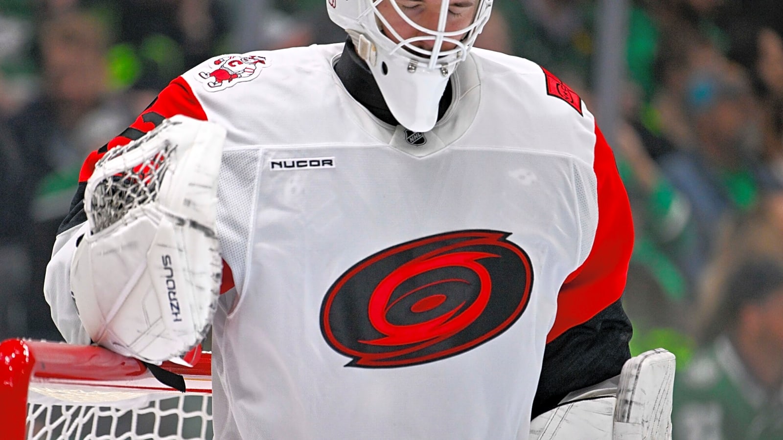 Hurricanes Acquire Stiven Sardarian