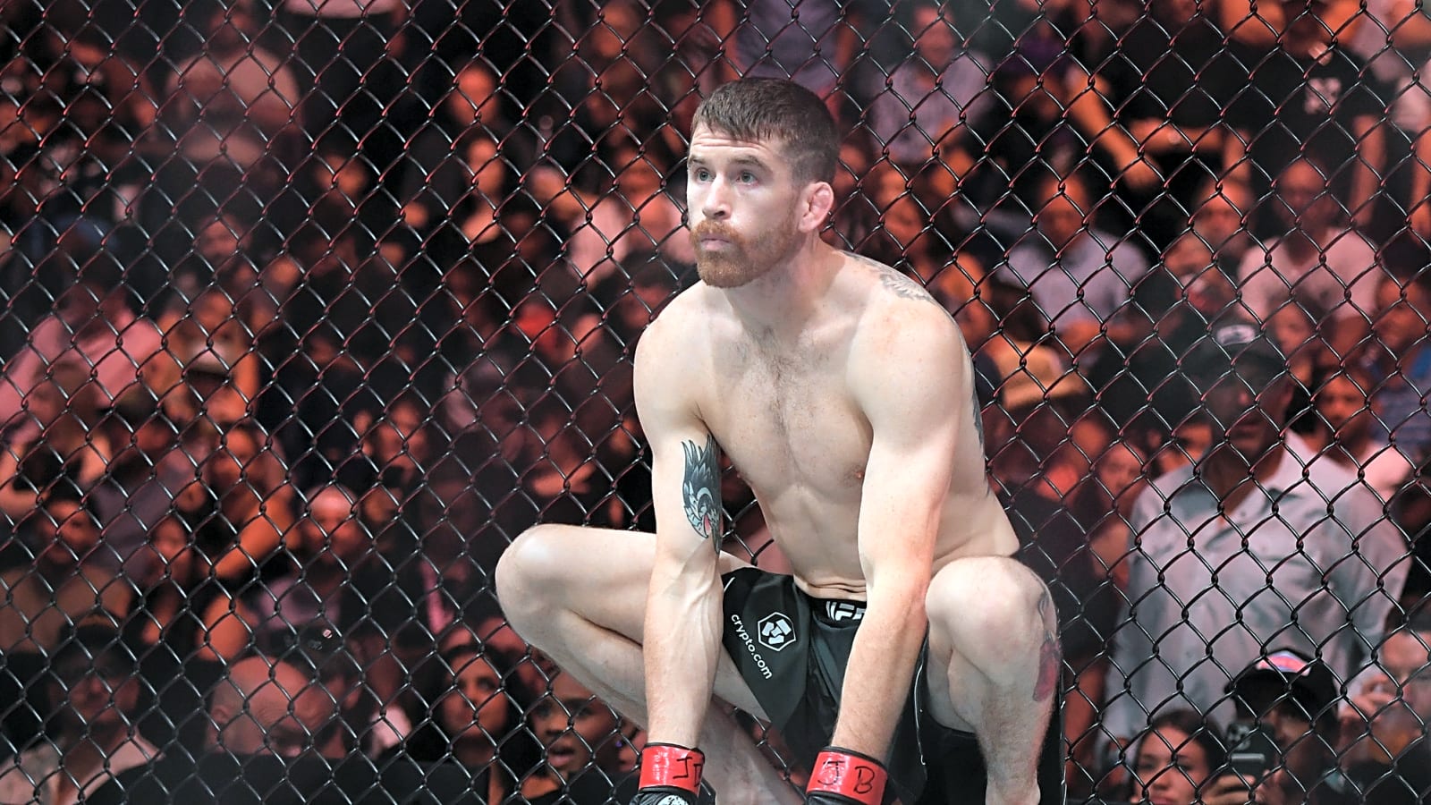 UFC Des Moines’ Amazing Main Card Saturday Night