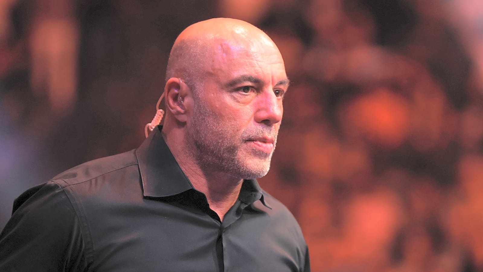 Joe Rogan on what should happen next in the light heavyweight division after Carlos Ulberg’s injury