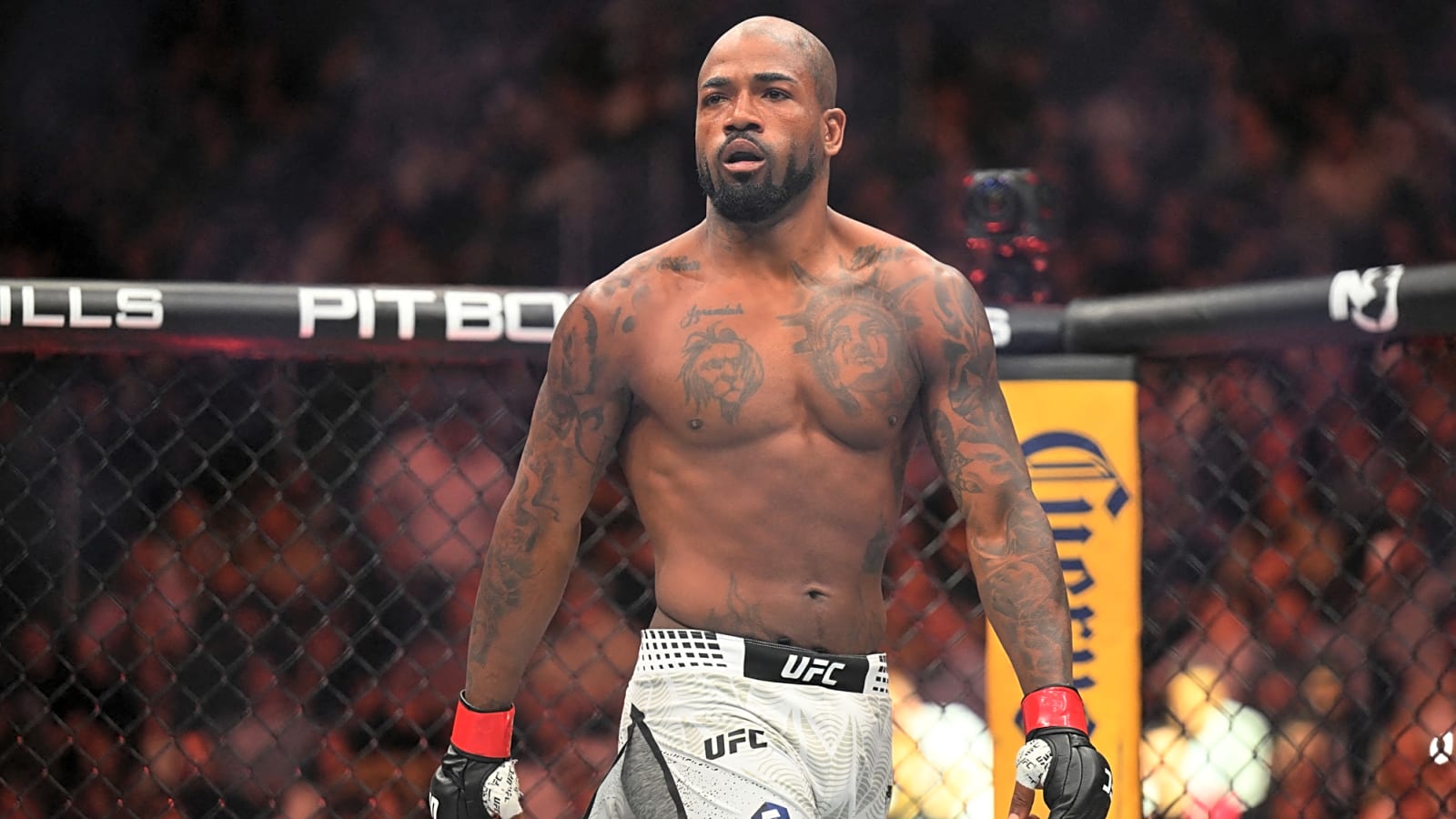 Rampage Jackson Defends Controversial Green Stoppage