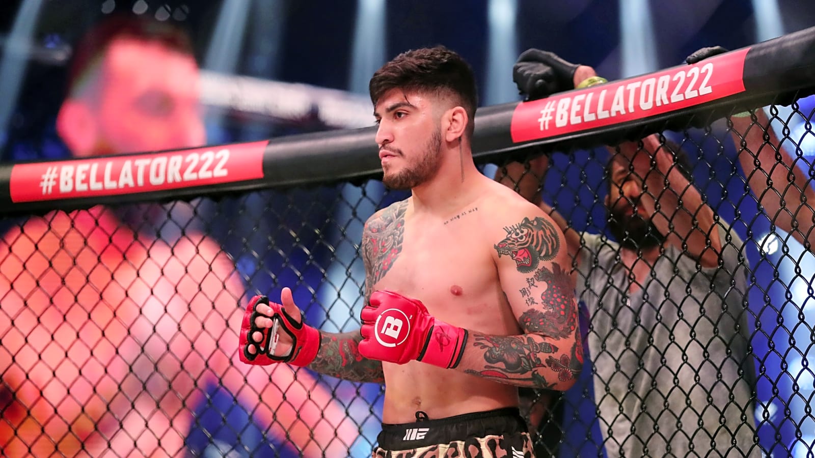 Dana White Bans Dillon Danis From All Future UFC Events After UFC 322 Brawl