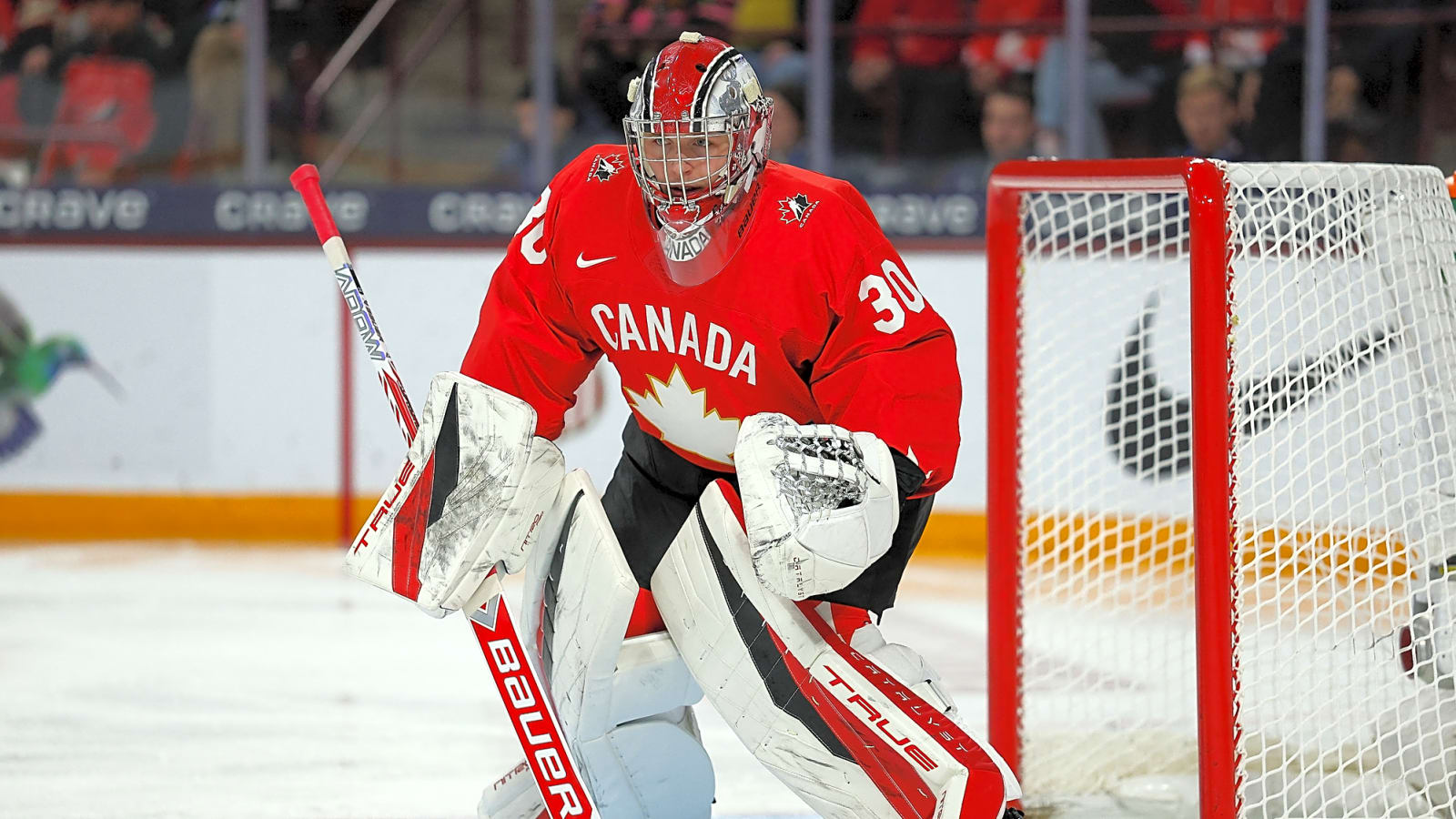 LA Kings Training Camp Preview: Carter George