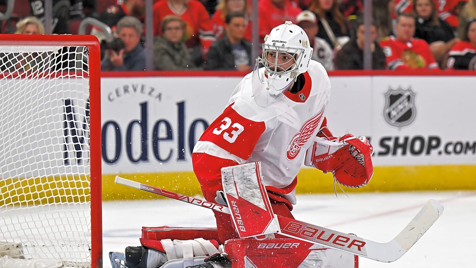 Mammoth Signing Sebastian Cossa