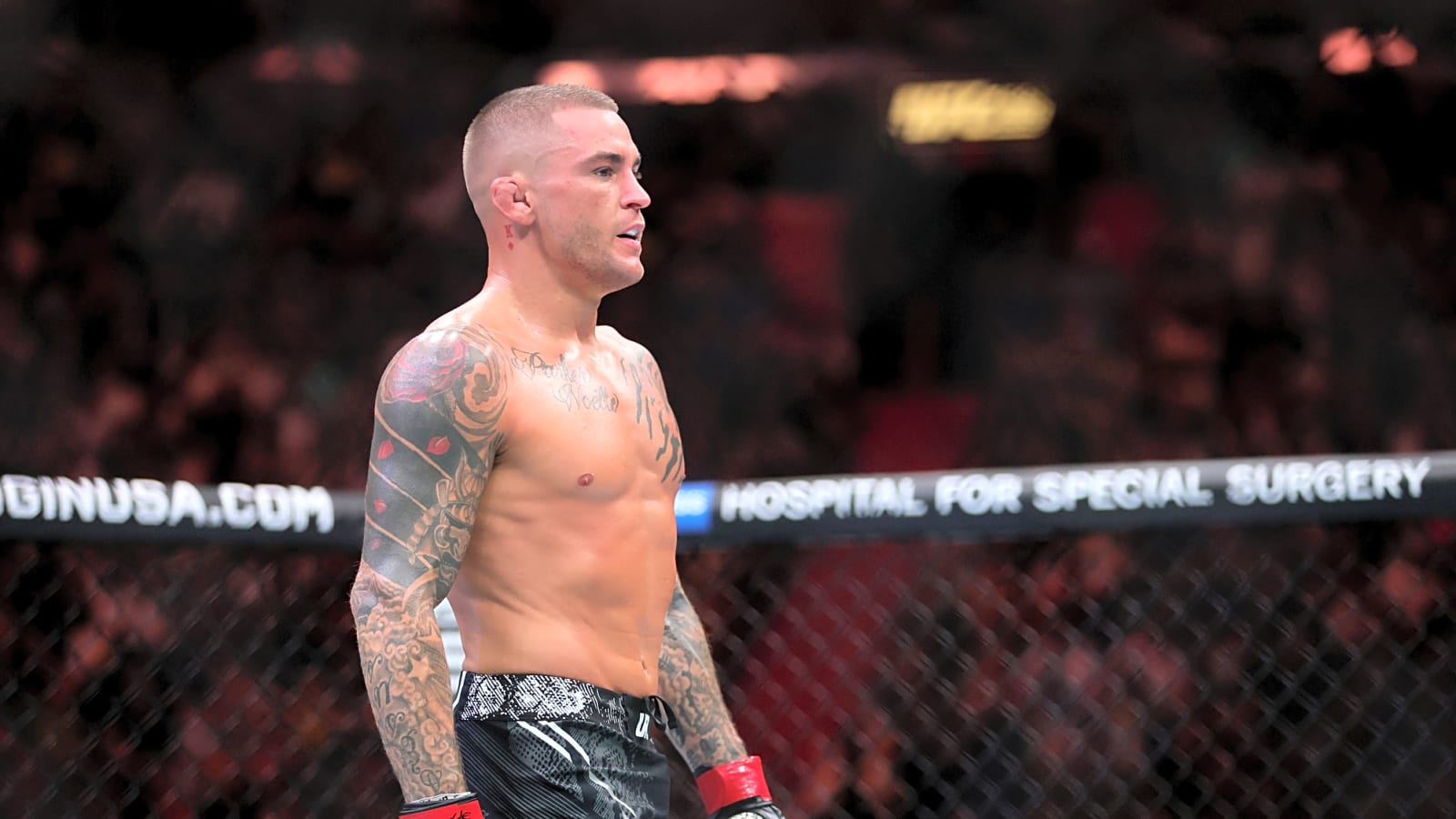 Why Dustin Poirier's Boxing Base Redefined Lightweight Striking