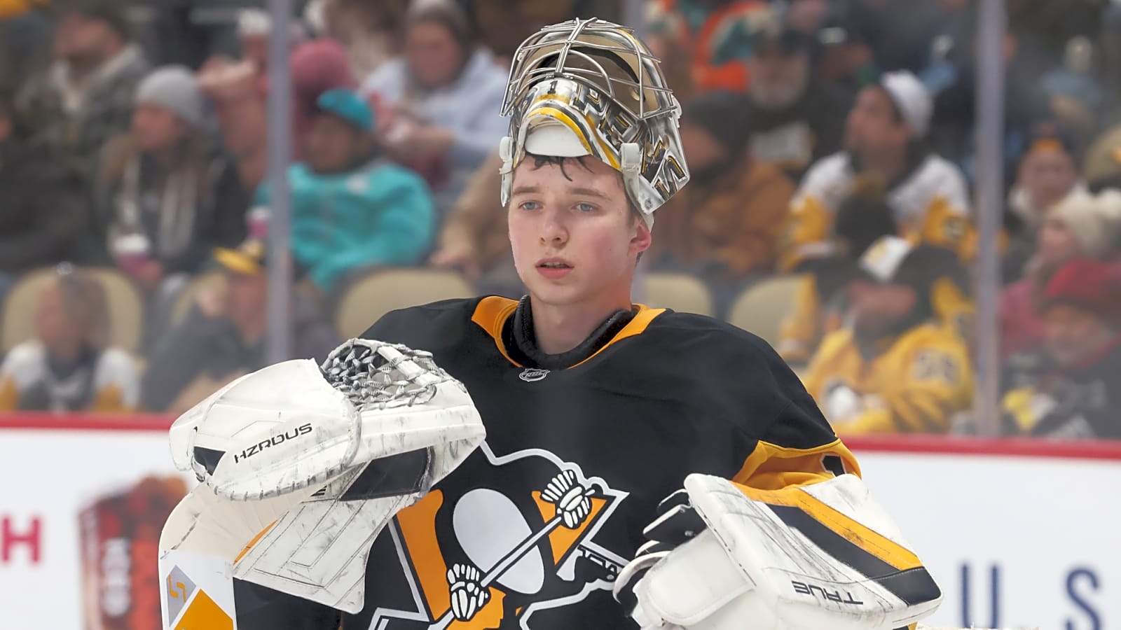 Penguins Recall Sergei Murashov