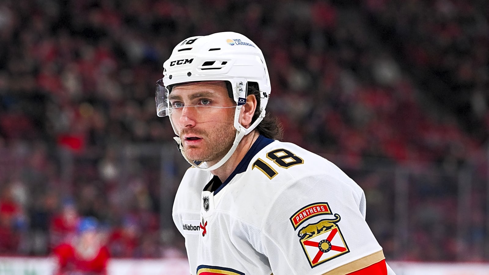 Panthers Recall Noah Gregor