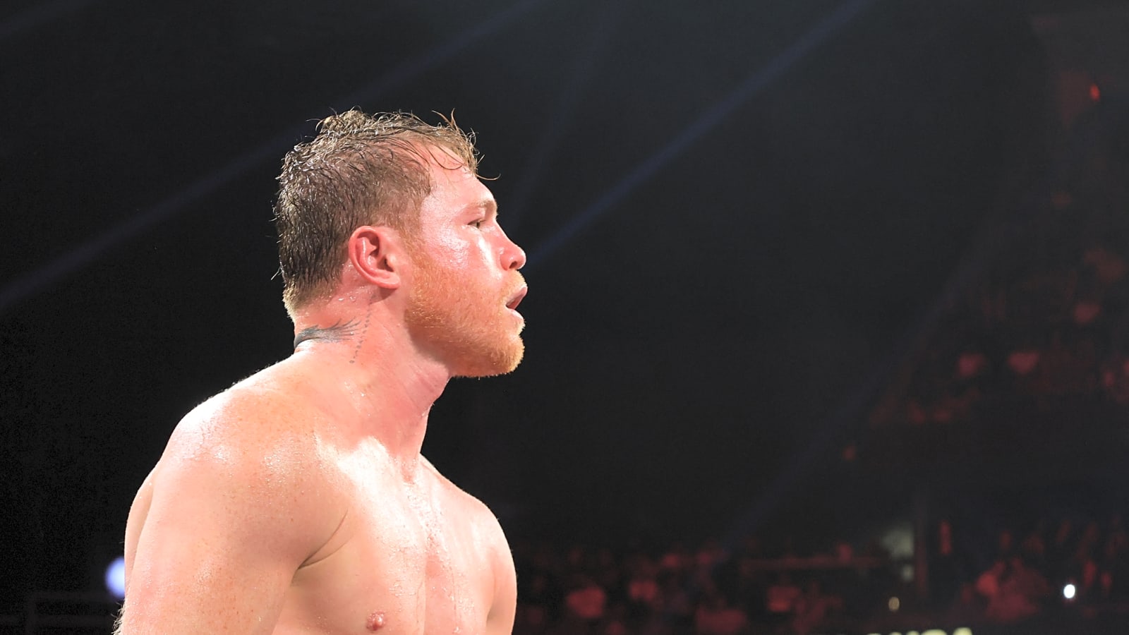 Canelo Alvarez Tipped to Make Boxing History with Billion Dollar Net Worth in 2026
