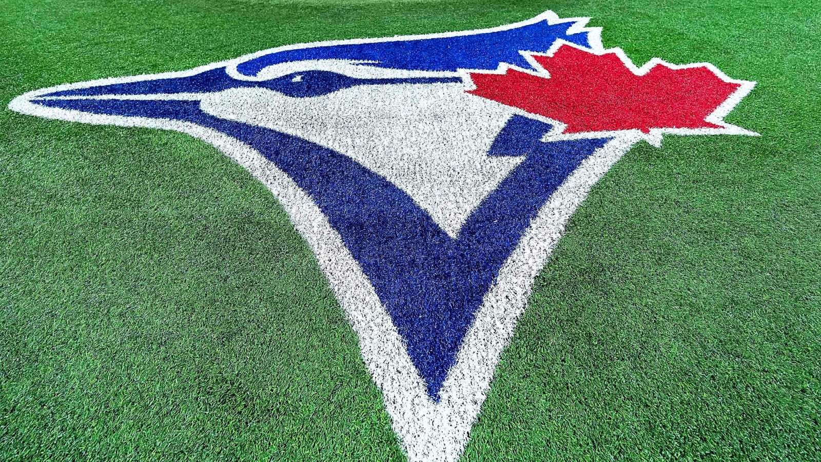 The Blue Jays sign Quebec native Mathieu Vallée