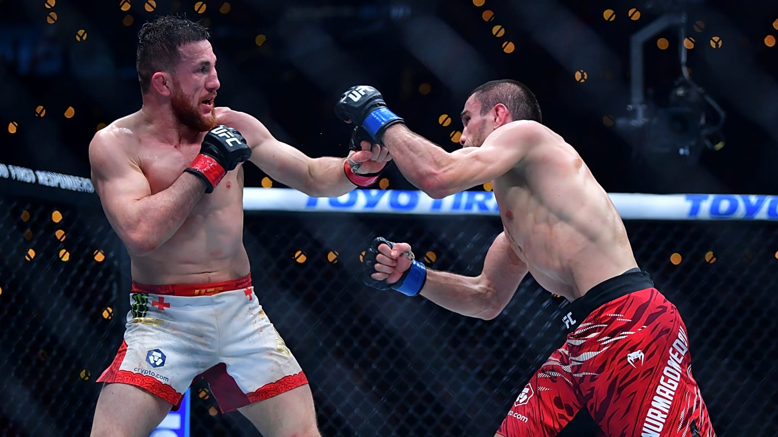 Umar Nurmagomedov vs. Sean O’Malley in Demand as ‘Suga’  Shares Return Timeline and Holds 135lbs Position Despite UFC 316 Loss