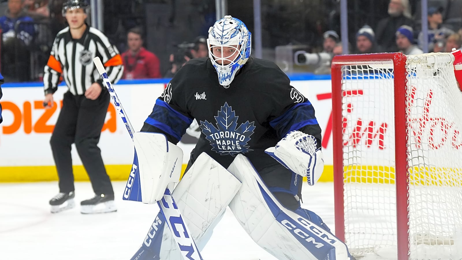 3 Reasons the Maple Leafs Re-Signed Dennis Hildeby