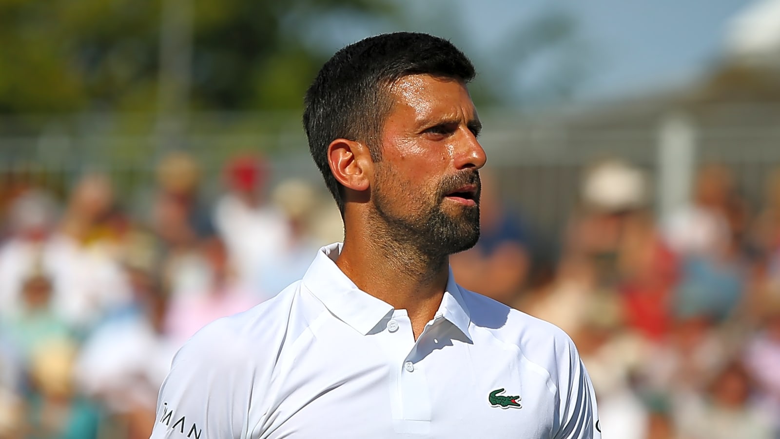 'Wimbledon could be the best chance': Novak Djokovic recognises the opportunity to challenge Sinner and Alcaraz