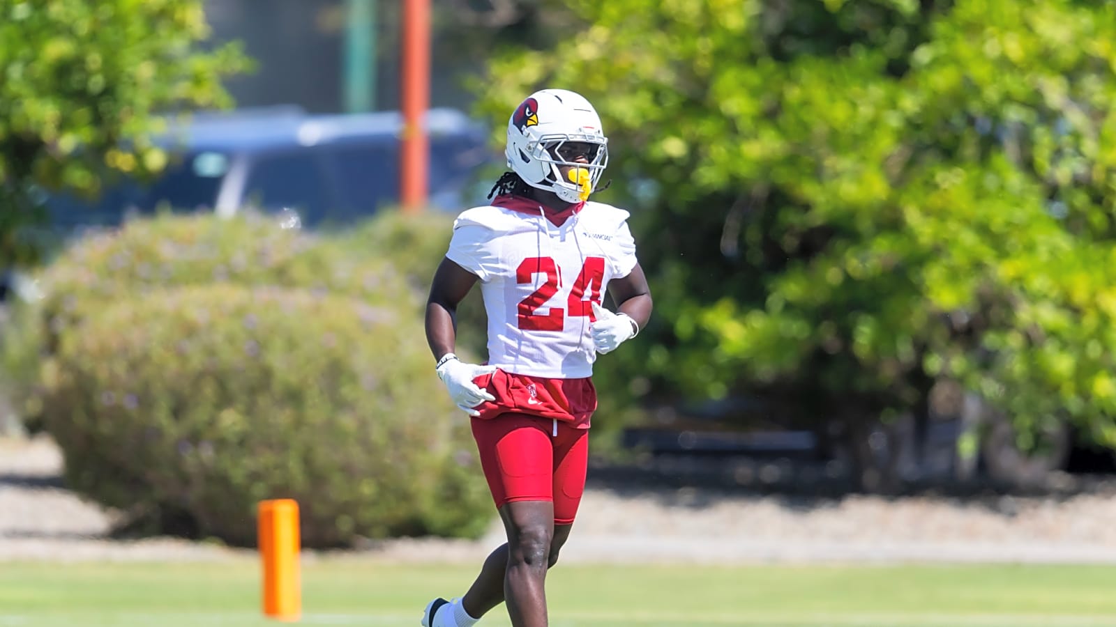 Cardinals lose starting CB to ACL tear