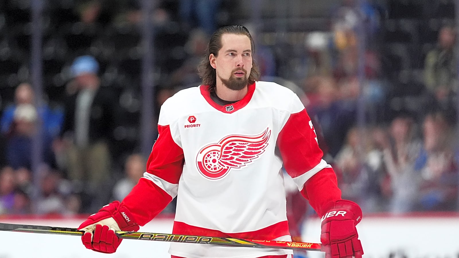 Detroit Red Wings Place Two on Waivers