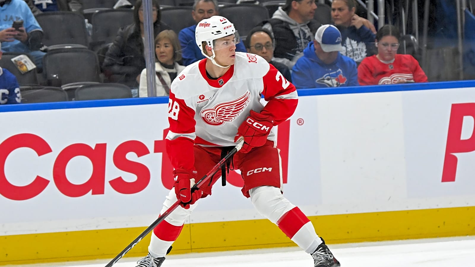 Red Wings Recall Michael Brandsegg-Nygard