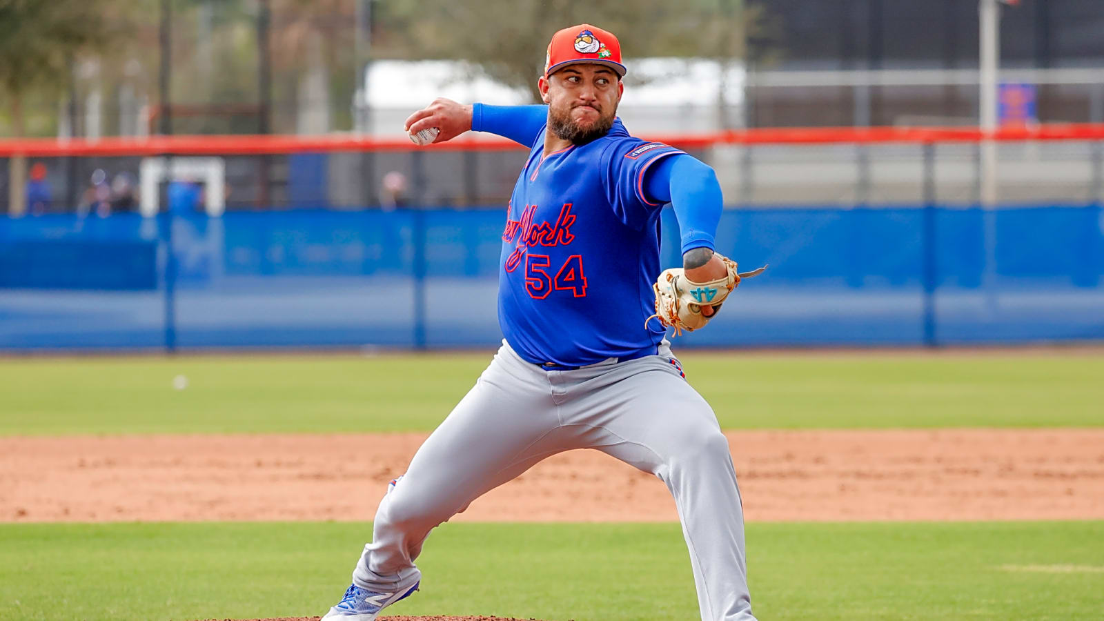 Mets Select Daniel Duarte