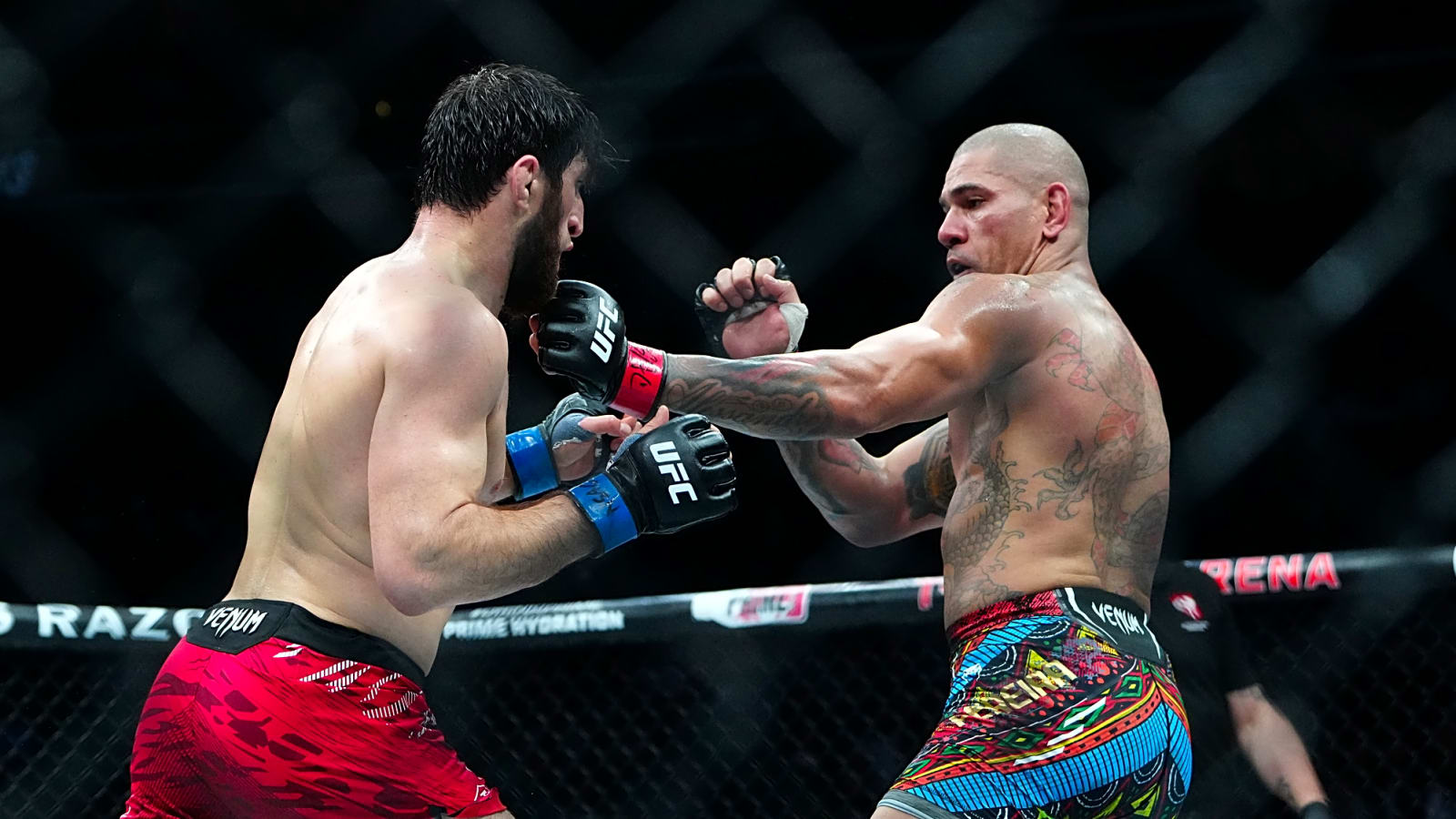 Alex Pereira Sends Fans Into Frenzy After Leaking New Fight Shorts Ahead of UFC 320 Rematch