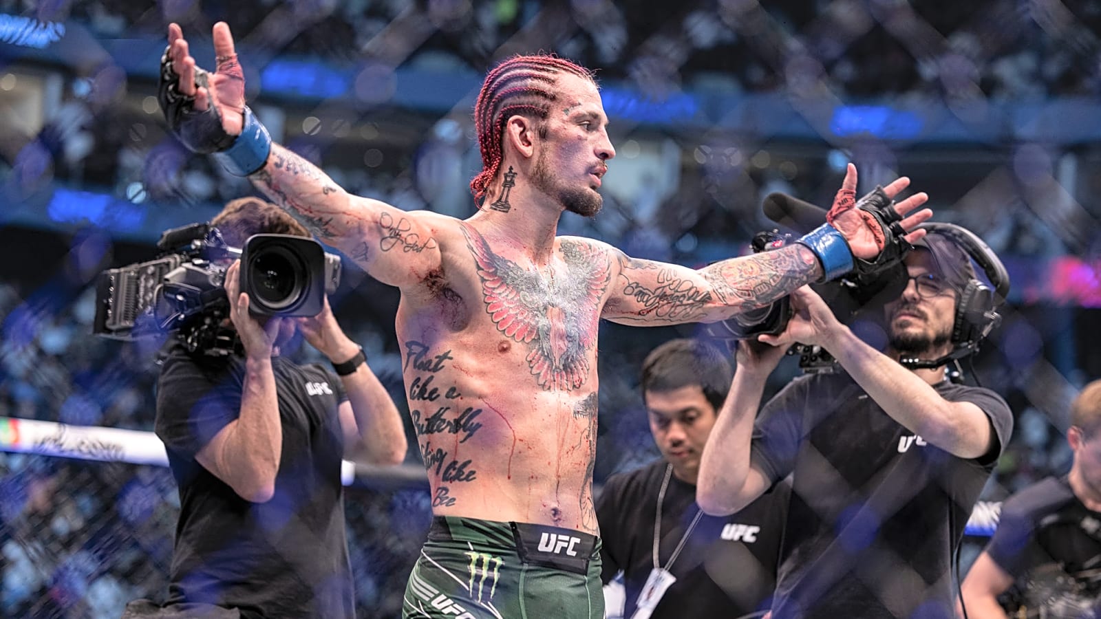 Sean O&#39;Malley beats up professional poker player Frankie C in sparring | Video