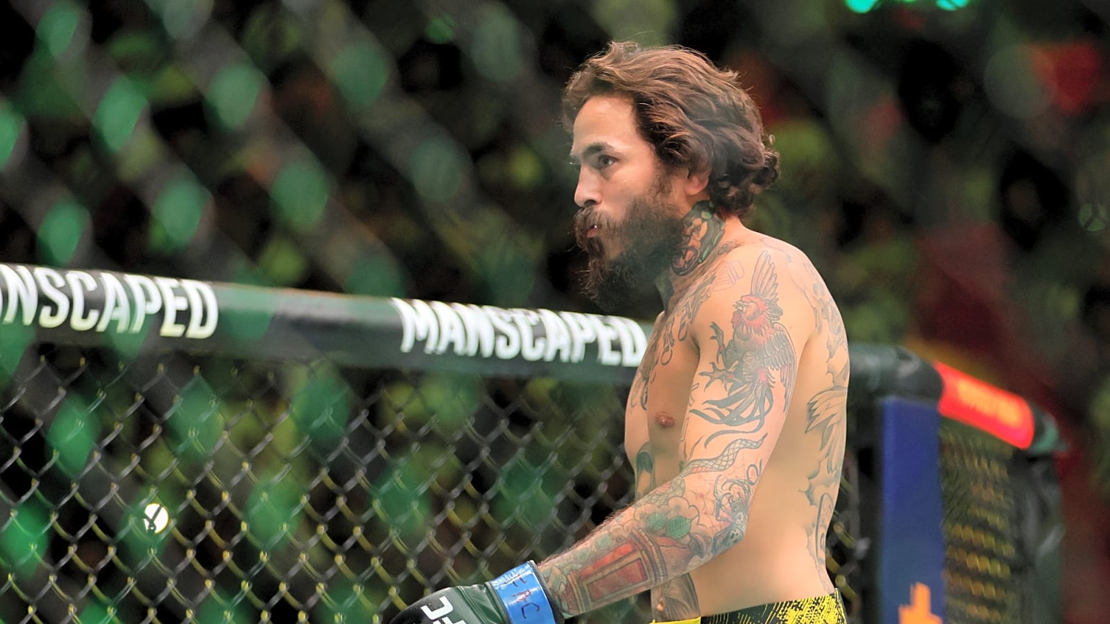 UFC Fight Night – Marlon Vera vs Aiemann Zahabi: Preview & Betting Tips