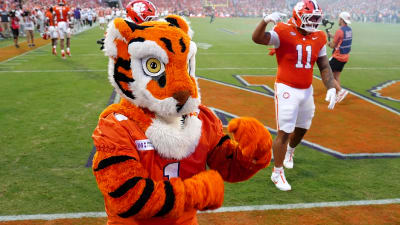 The 'FBS animal teams' quiz