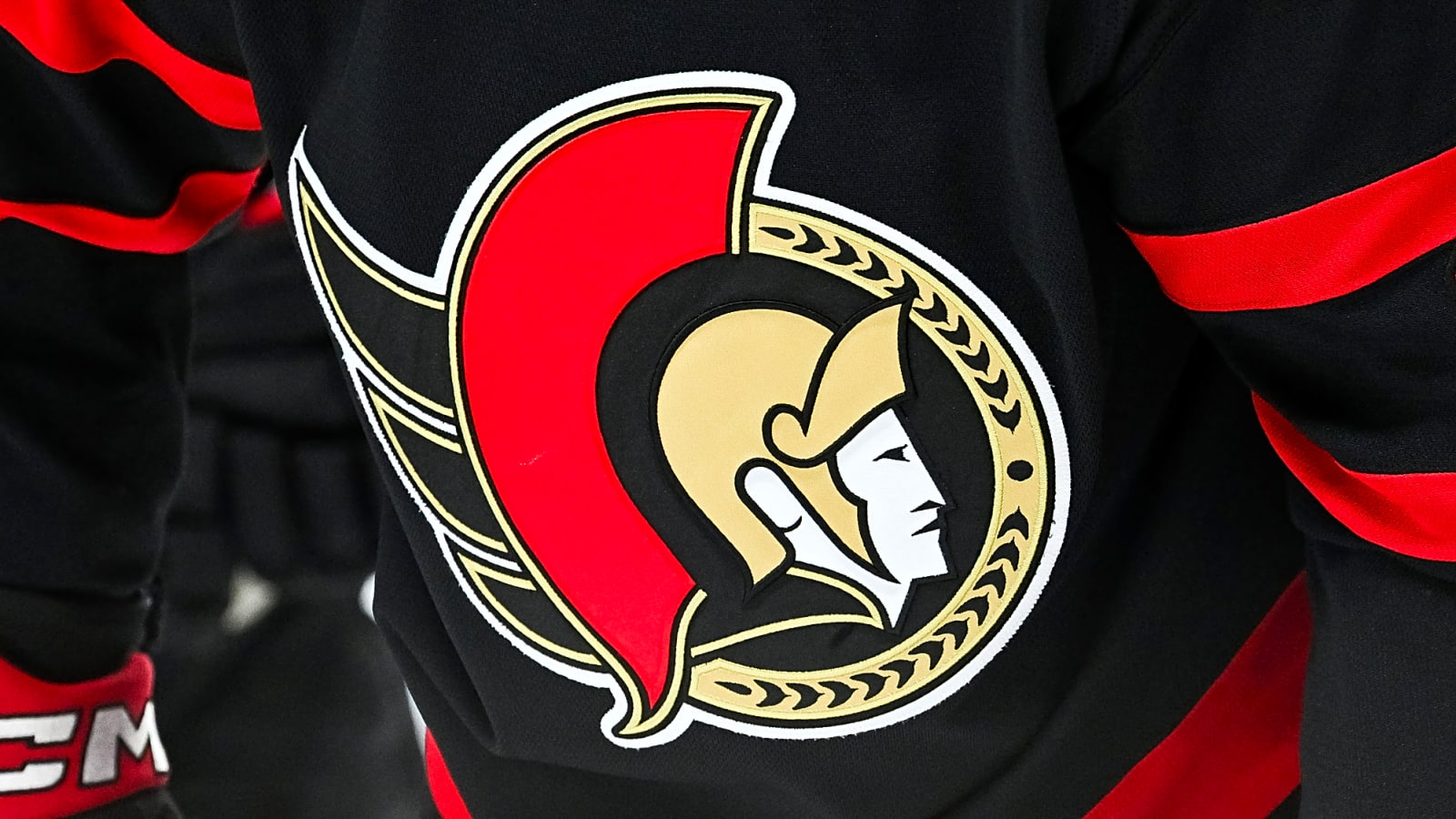The Senators want to add a true maverick